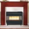 Robinson Willey Firegem Visa Highline Black / Brass Gas Fire -Heating Equipment Store 29e4ca86 4fde 4c7c b578 50db2dfe381a