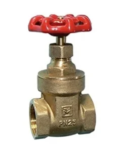 1" Brass Female Gate Valve - 10020465