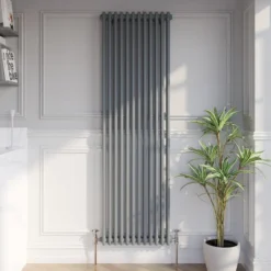 Park Lane Traditional Vertical Colosseum Double Bar Column Radiator Anthracite - 1800 X 560mm